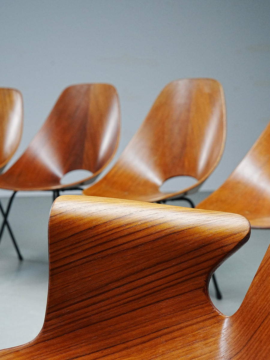 Set of 6 Medea Dining Chairs (2 Armchairs) by Vittorio Nobile, Italy, 1950's