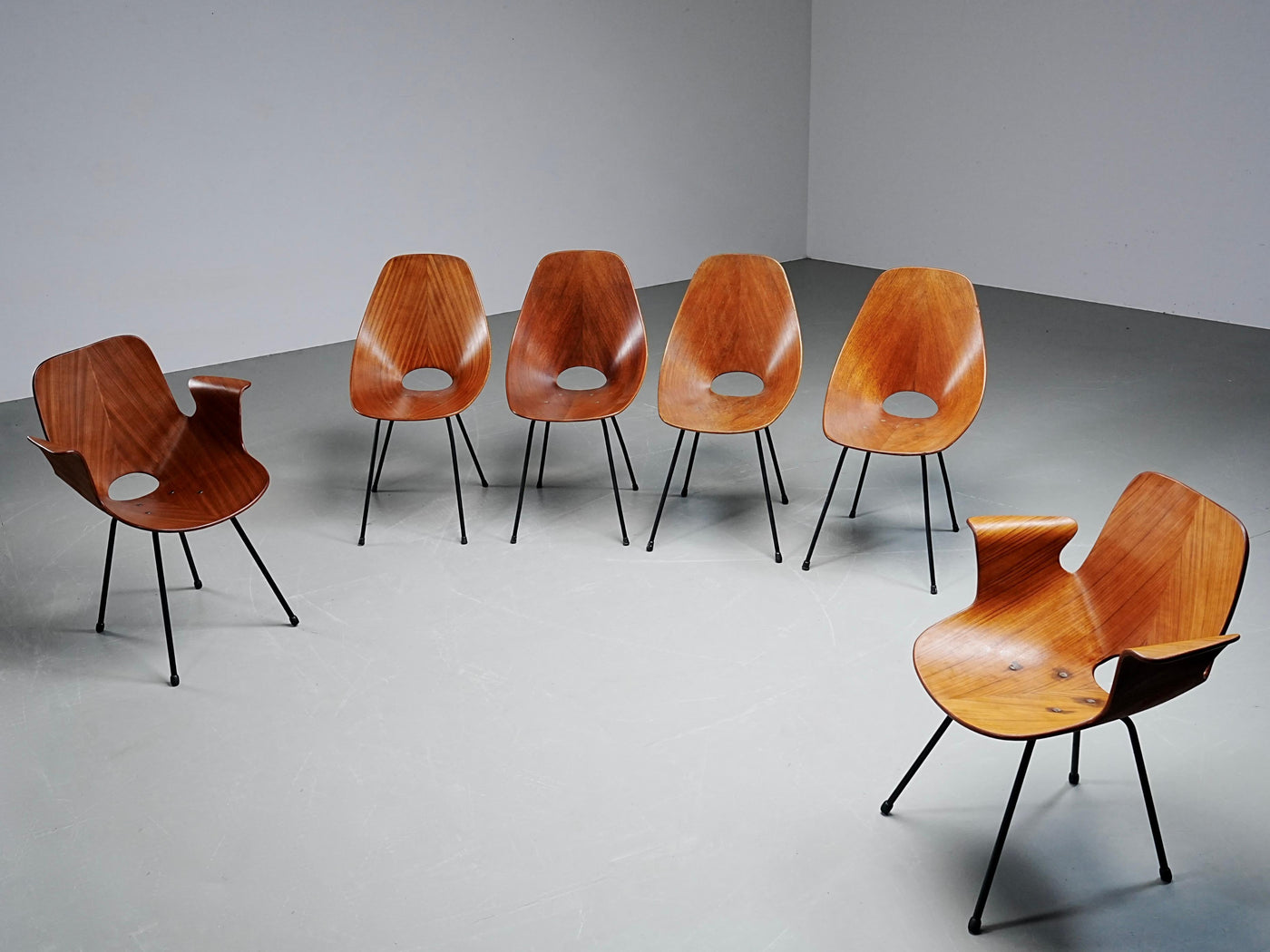 Set of 6 Medea Dining Chairs (2 Armchairs) by Vittorio Nobile, Italy, 1950's