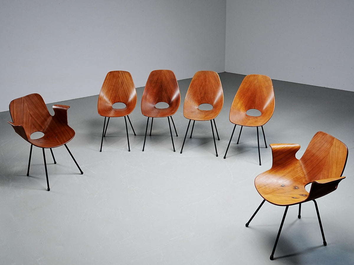 Set of 6 Medea Dining Chairs (2 Armchairs) by Vittorio Nobile, Italy, 1950's