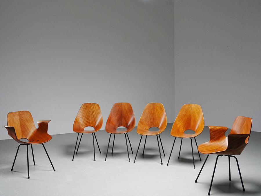Set of 6 Medea Dining Chairs (2 Armchairs) by Vittorio Nobile, Italy, 1950's