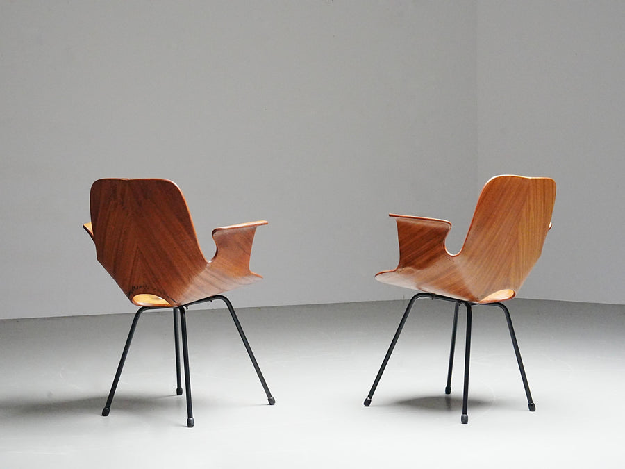 Set of 6 Medea Dining Chairs (2 Armchairs) by Vittorio Nobile, Italy, 1950's