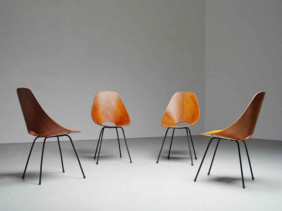 Set of 6 Medea Dining Chairs (2 Armchairs) by Vittorio Nobile, Italy, 1950's