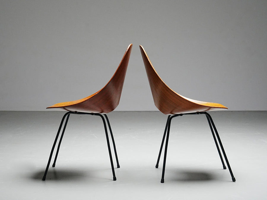 Set of 6 Medea Dining Chairs (2 Armchairs) by Vittorio Nobile, Italy, 1950's