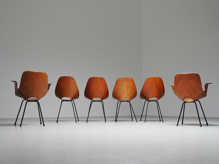 Set of 6 Medea Dining Chairs (2 Armchairs) by Vittorio Nobile, Italy, 1950's