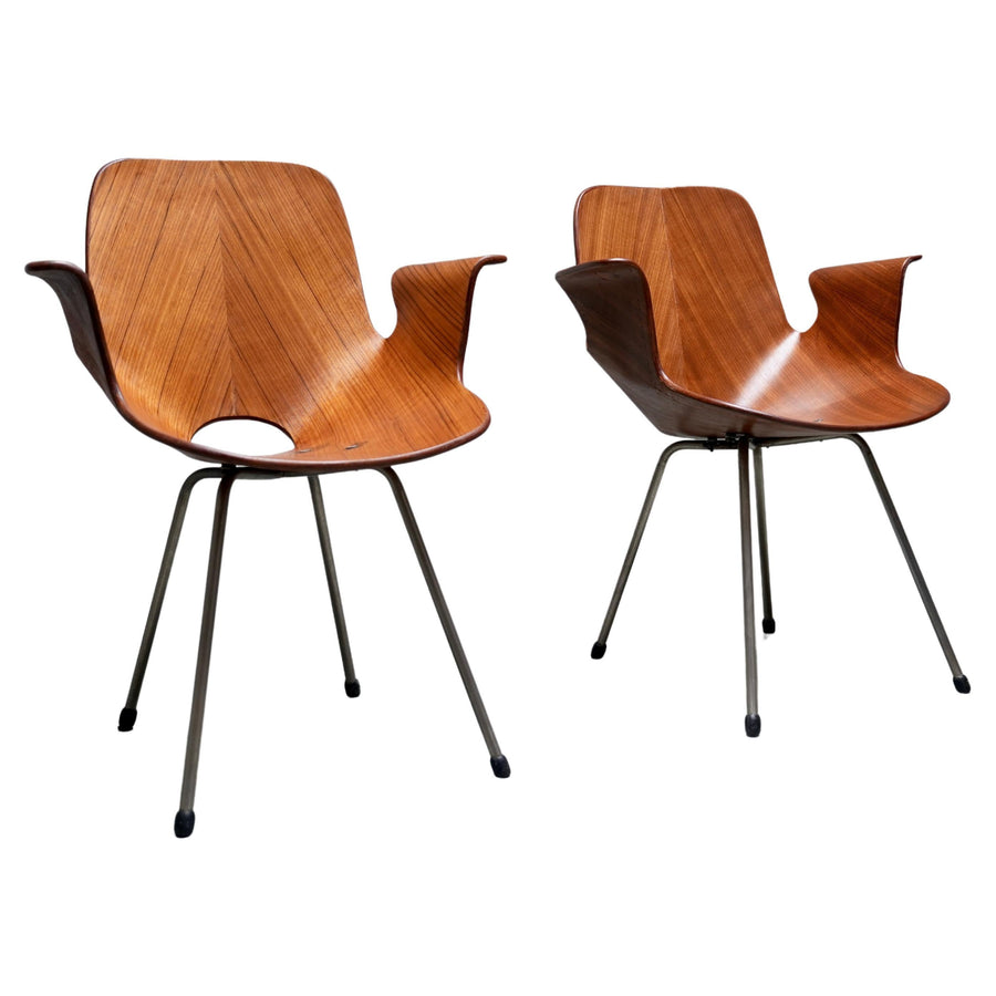 Set of 2 Medea Armchairs by Vittorio Nobili for Fratelli Tagliabue, Italy, 1955