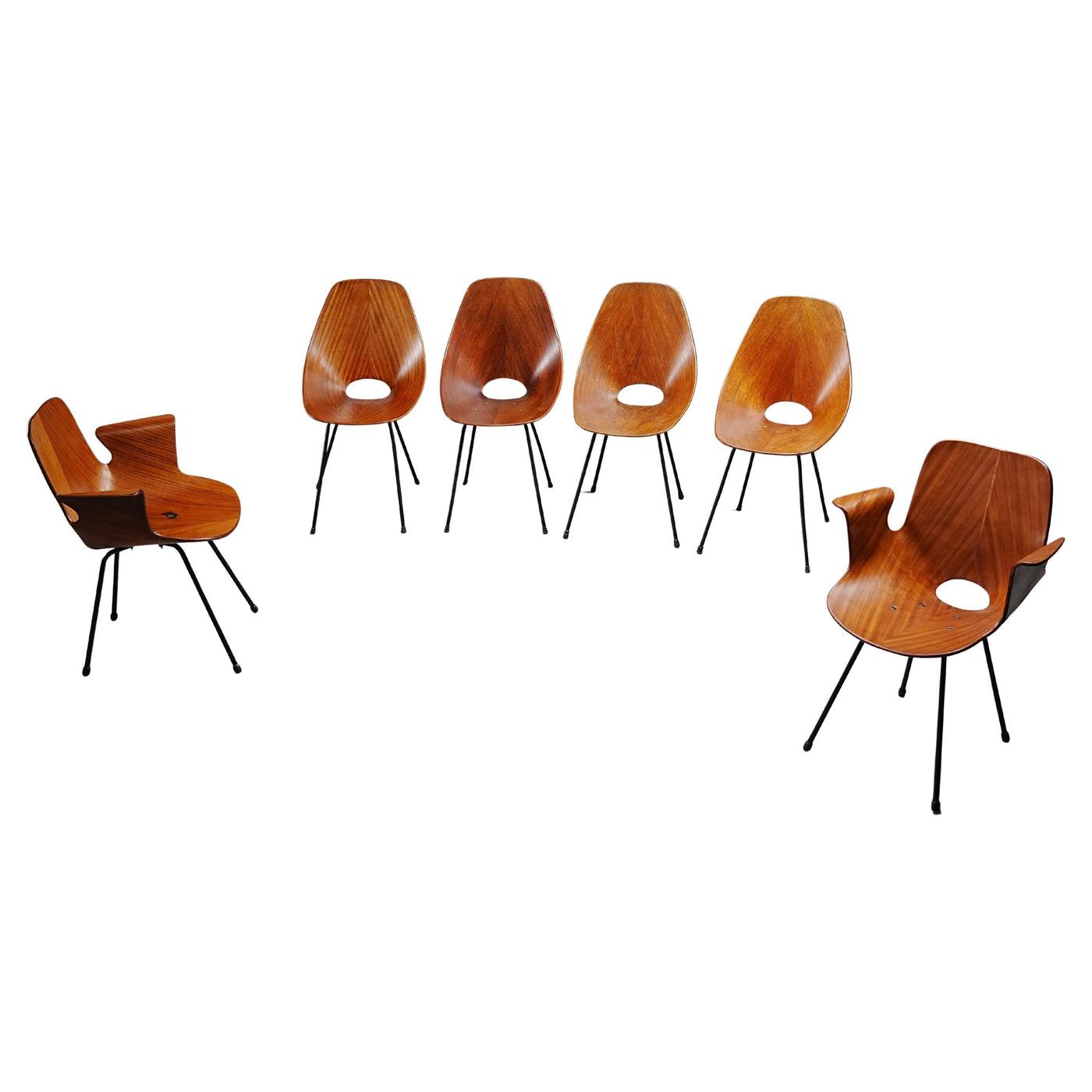 Set of 6 Medea Dining Chairs (2 Armchairs) by Vittorio Nobile, Italy, 1950's